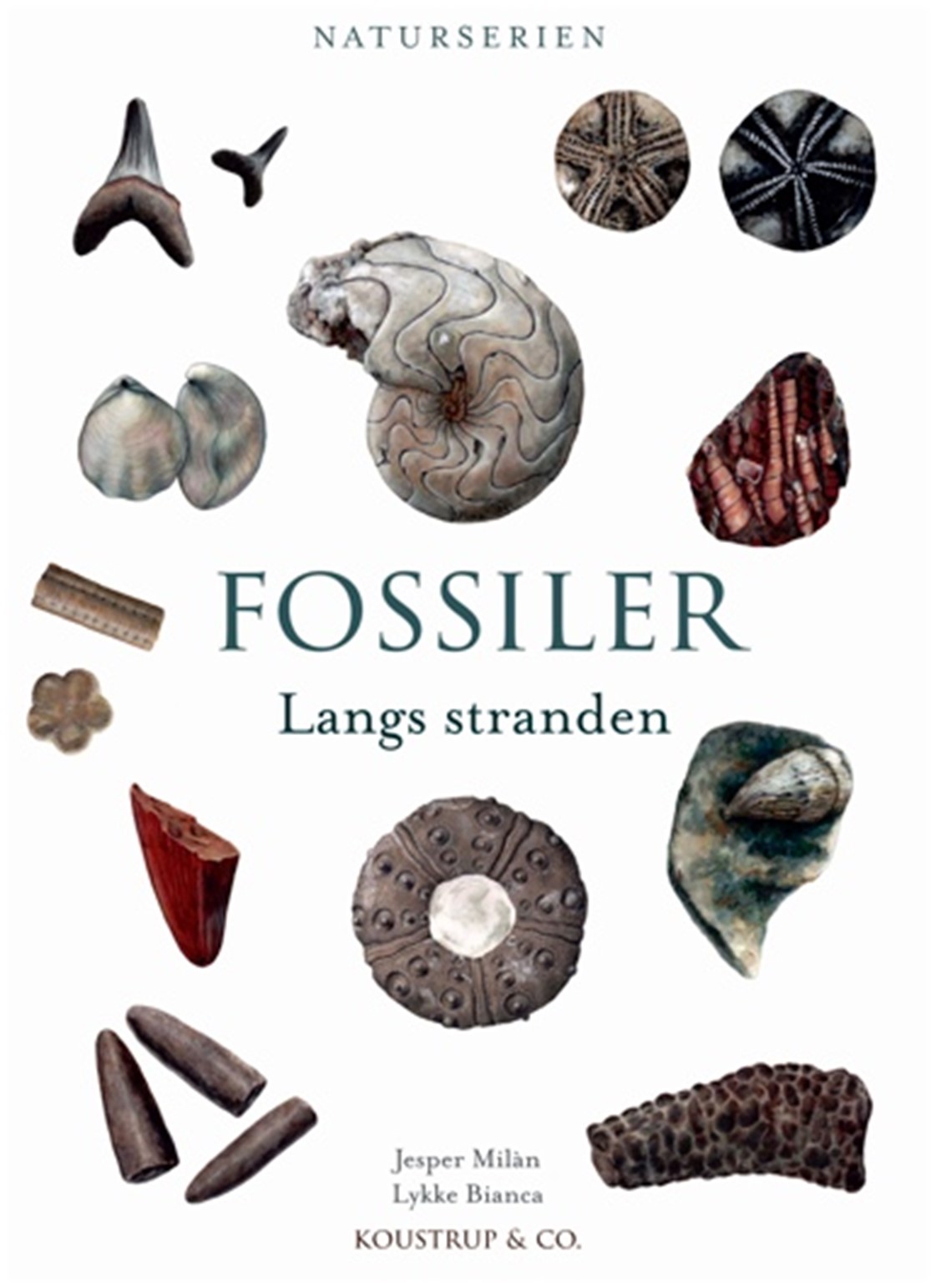 Ny fossilbog ude nu!